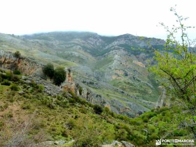 Parque Natural Cazorla-Sistema Prebético;somiedo parque natural ayuntamiento lozoya vall de laguar 
